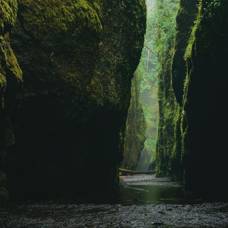 National parks scenery